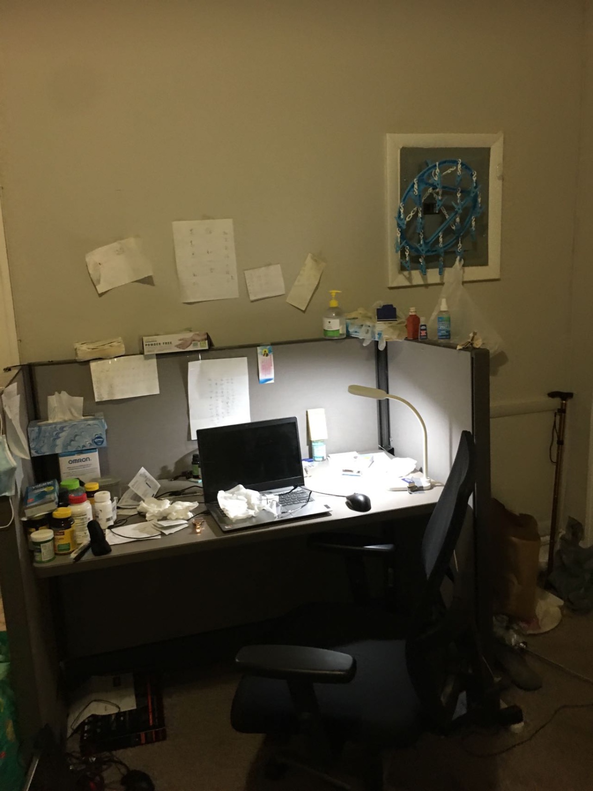 出租studio 在费城市区