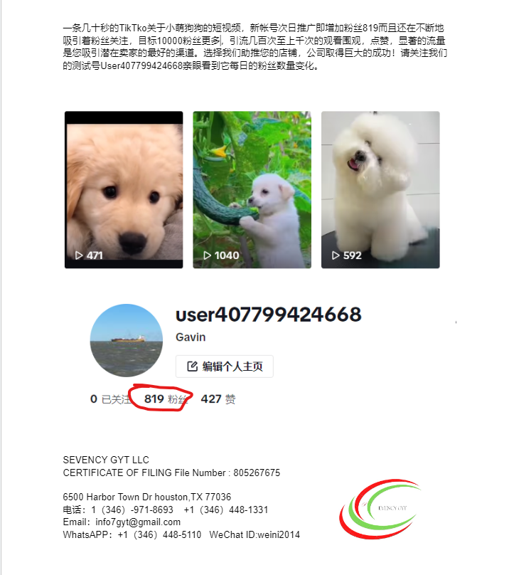 短视频代理剪辑与推广服务 休斯顿AI-网络-电脑-安防