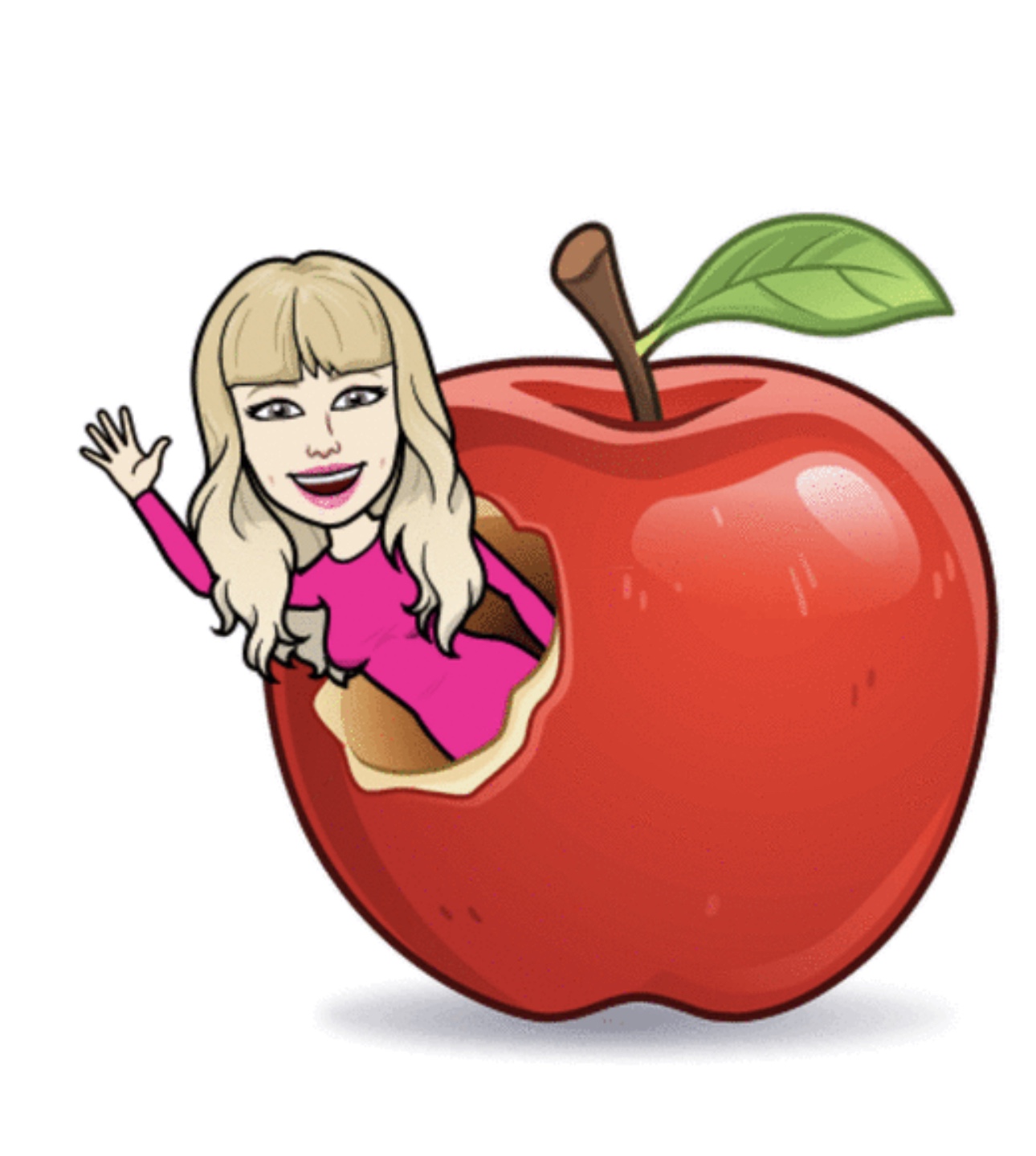 Online语言一对一课 (Zoom) 美国人老师