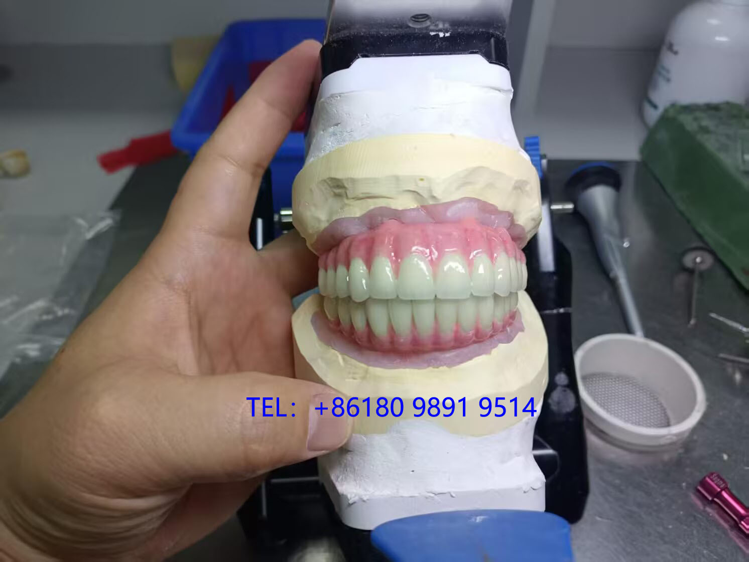 加州牙醫‧植牙‧矯正─孫達牙醫博士