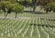 洛杉矶国家公墓 - Los Angeles National Cemetery