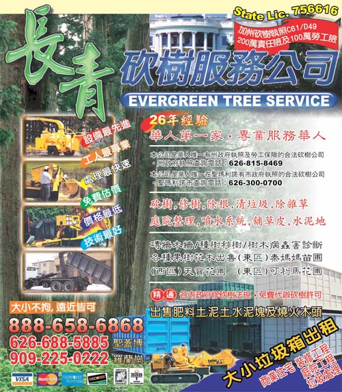 長青砍樹服務公司
