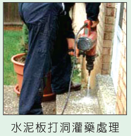 誠信殺蟲消毒服務公司