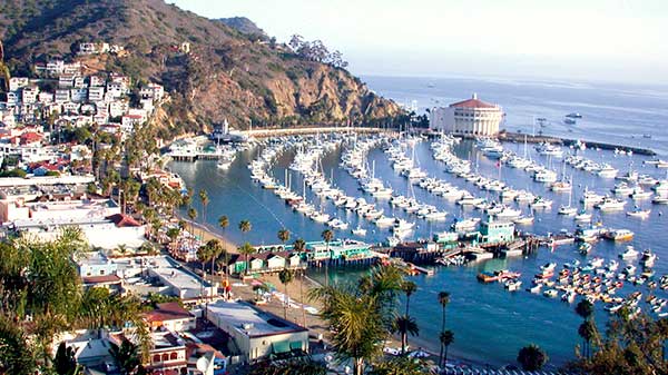 卡特琳納島大酒店