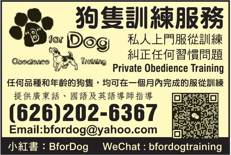 狗隻訓練專門店