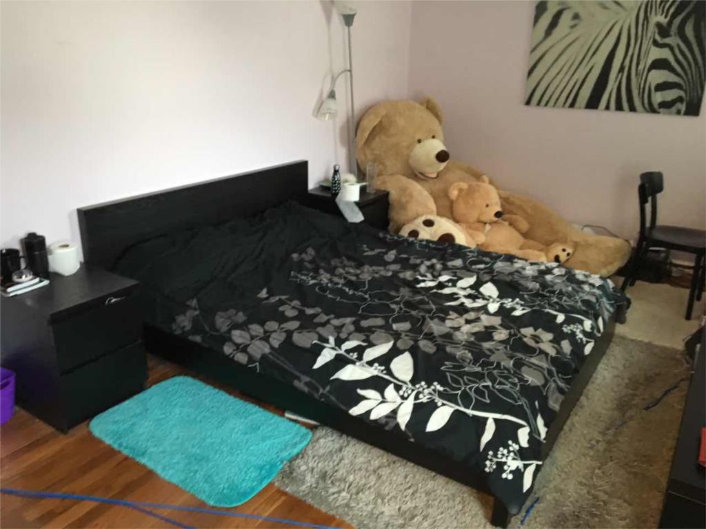 康州Connecticut,Norwalk furnitured房间出租 room re