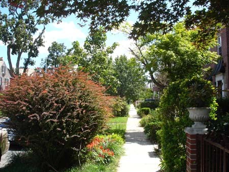 最美森林小秋新大2房在别墅的2楼除电不包