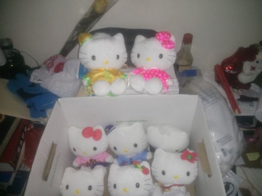 Hello Kitty Collectible 凱蒂貓收藏品