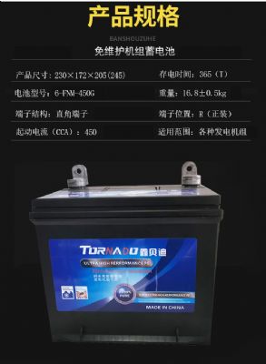 Generator set battery 6-FNM-450G