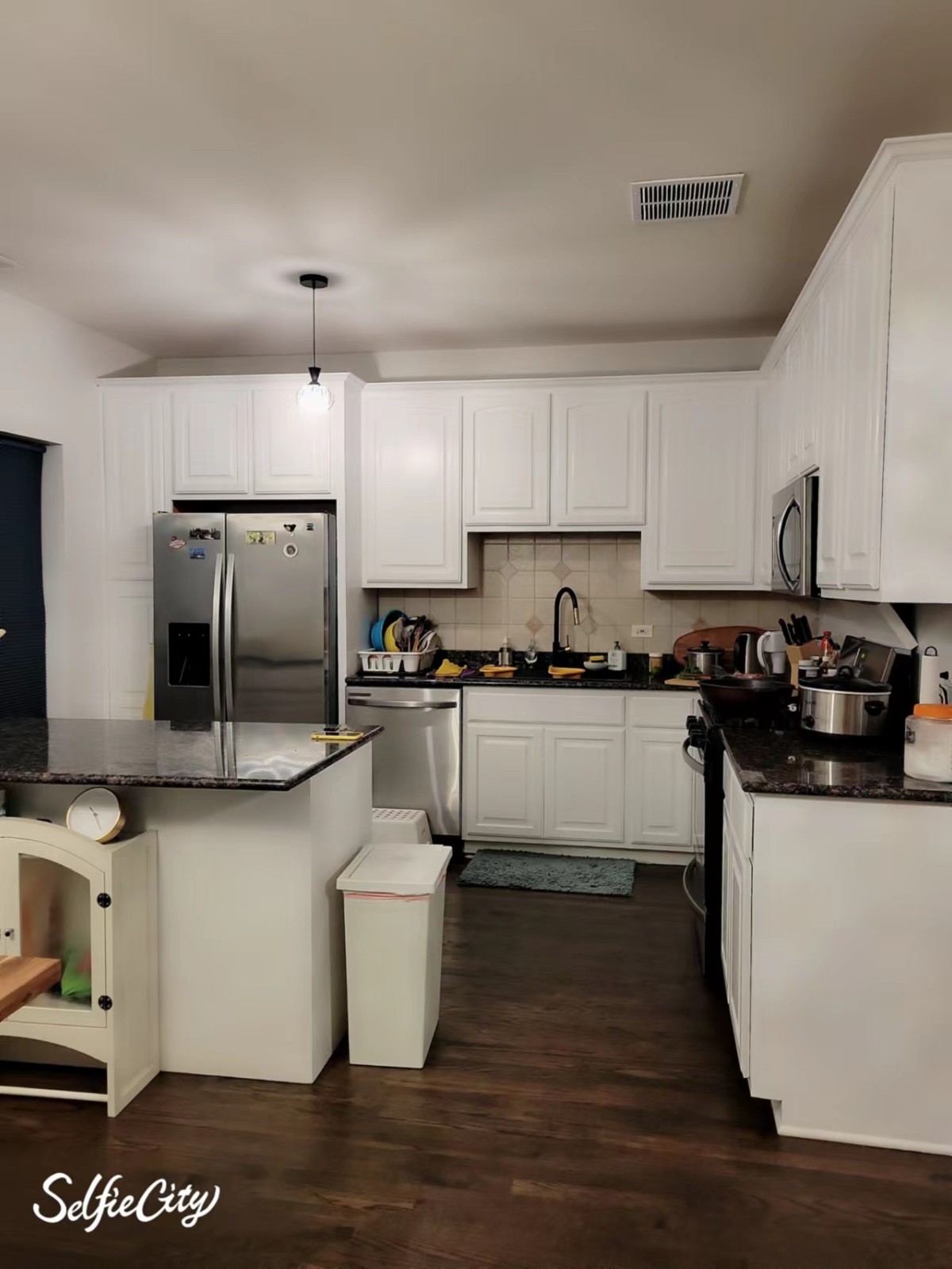 7237 west Addison St 公寓出租