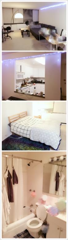 One bedroom and one living room for rent in downtown Chicago during winter vacation