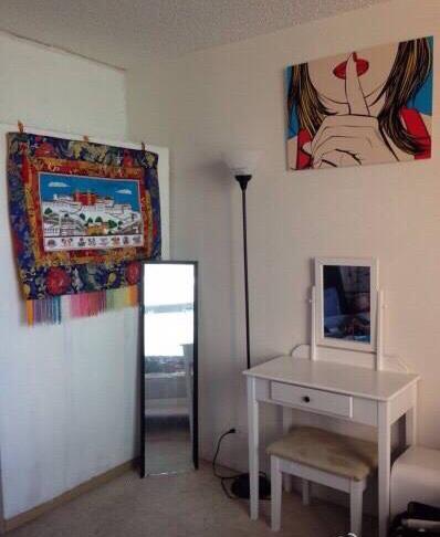 Chicago Downtown Presidential Tower super low price 450/month sublet