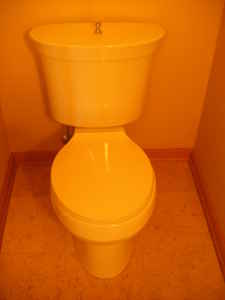 American Standard Custom Toilet 2 piece 16 gallon and Porcher Sink