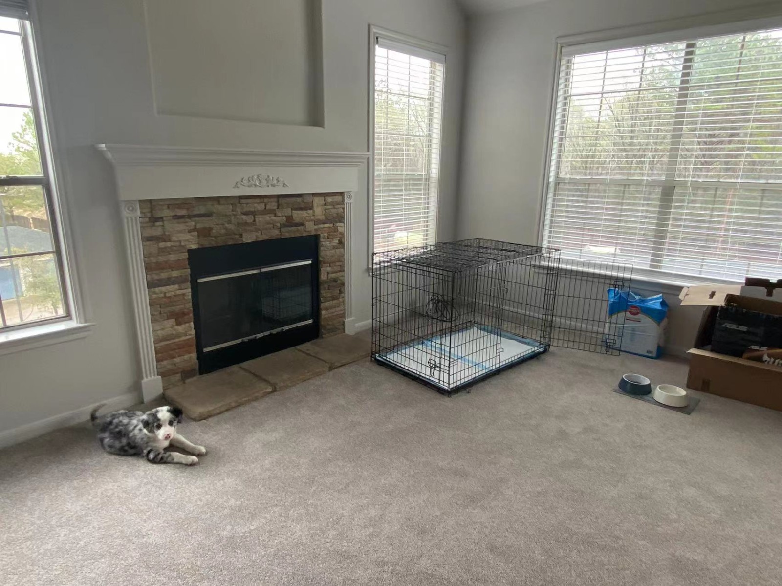 willowbrook 附近2b2b转租整栋 送家具