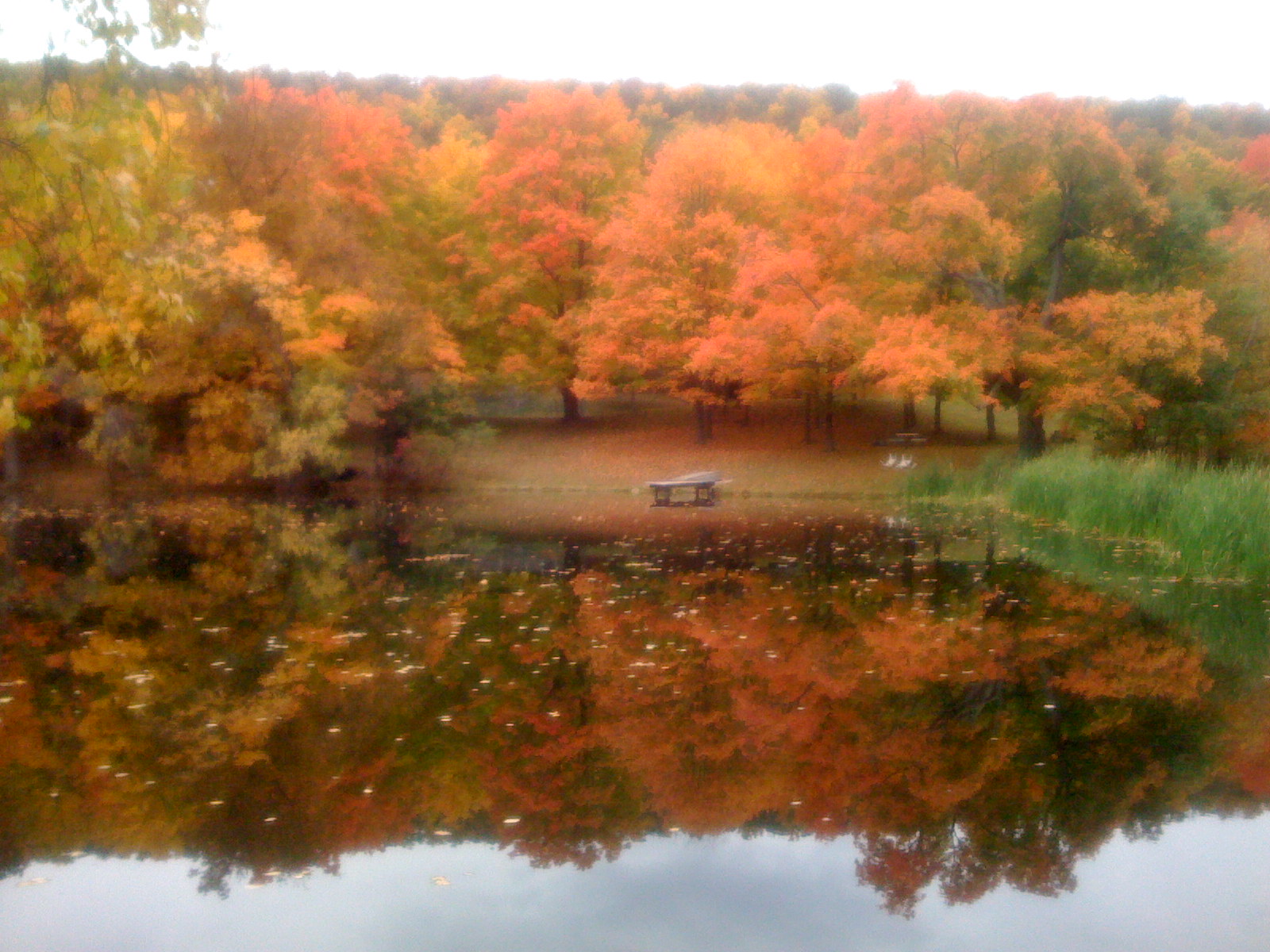 钓鱼打猎种果种菜，新泽西州牧林场度假屋