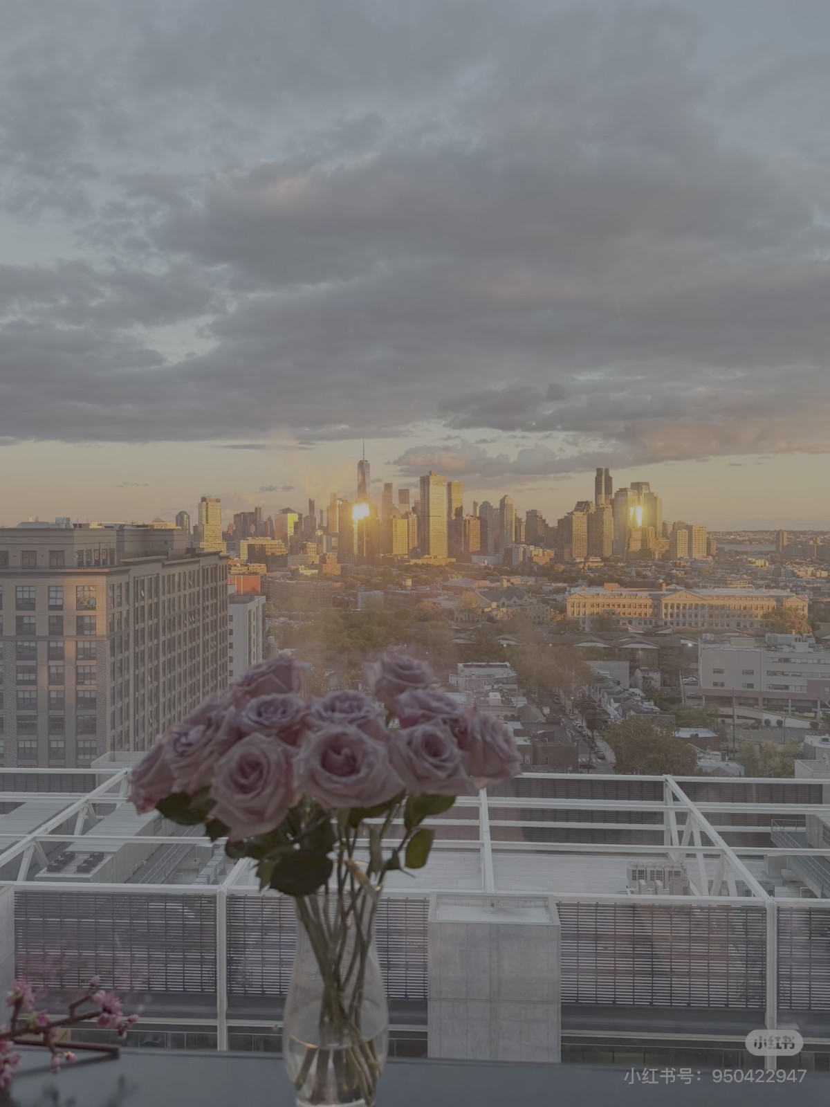 Jersey City JSQ附近studio转租